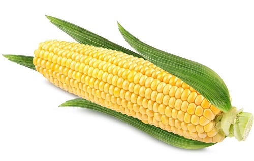 美国玉米期货行情