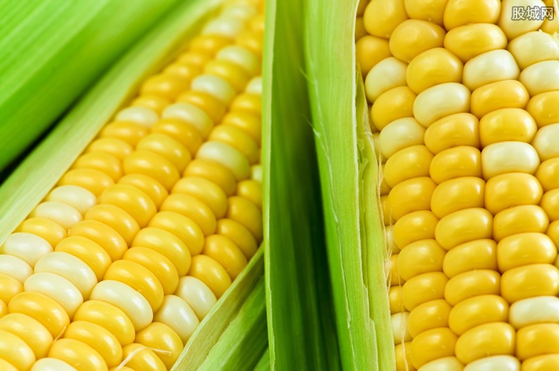 玉米价格上涨原因