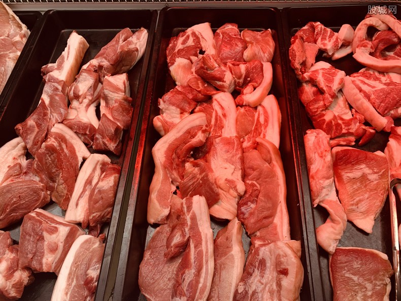 猪肉价格预测