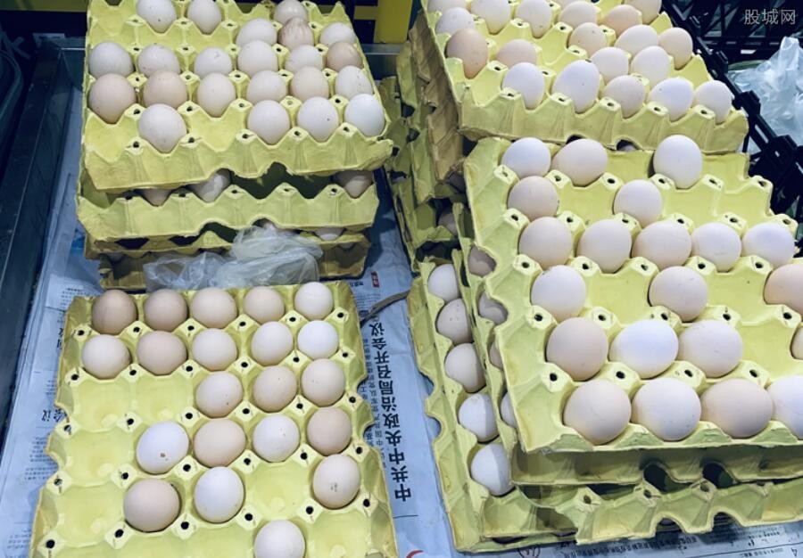 鸡蛋价格走势预测
