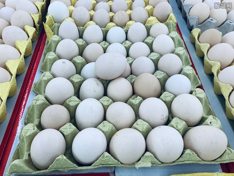 鸡蛋多少钱一斤