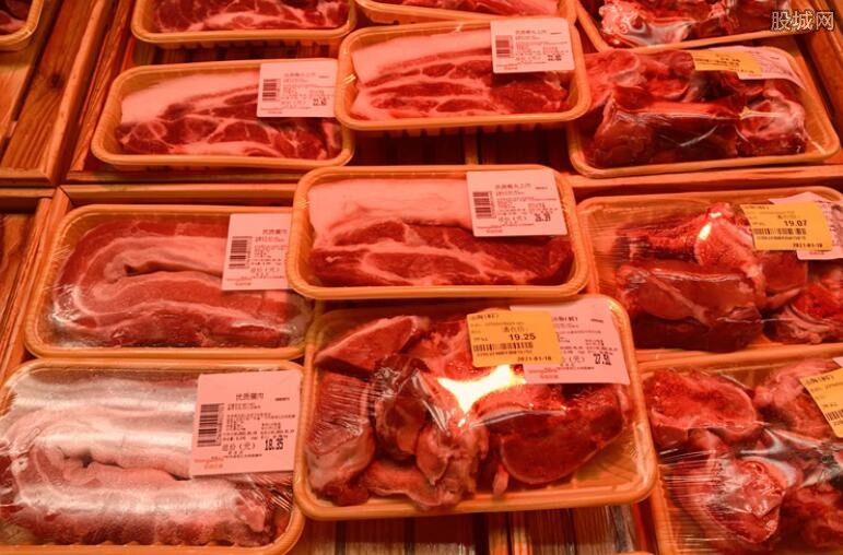 今日猪肉价格